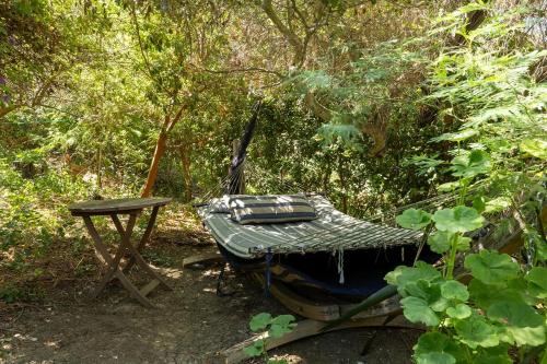 Κήπος έξω από το Topanga Garden Paradise 1BR 1BA in the Heart of PO Tract