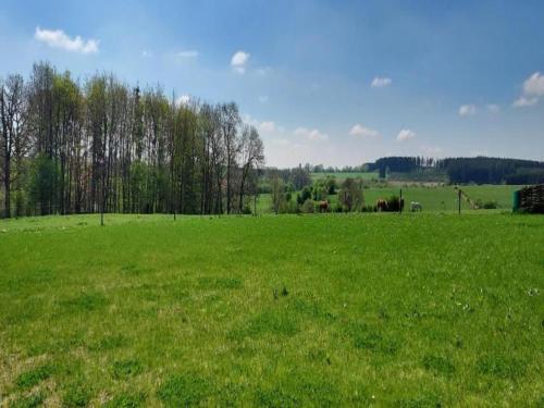 a large green field with trees in the background at Gouvy Getaway holiday home in Gouvy