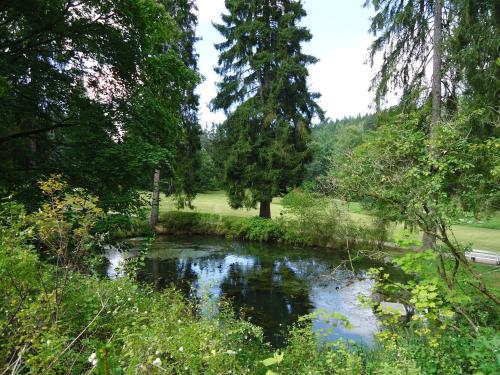 a pond in the middle of a park with trees at Hotel - Pension Vesta in Bad Elster