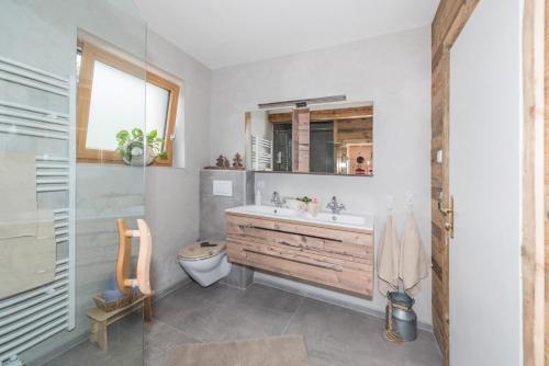 a bathroom with a sink and a toilet at Apartchalet Almliebe in Maria Alm am Steinernen Meer
