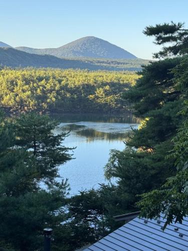 a view of a lake through the trees at Cabin G Lake Saiko 1min, MtFuji View, BBQ, Hammock, fire pit in Narusawa