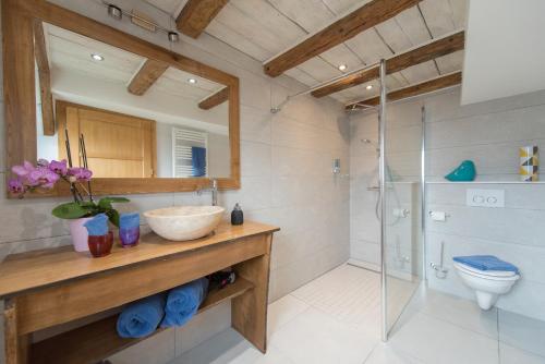 a bathroom with a sink and a shower at La Maison d'Emilie in Pfaffenheim
