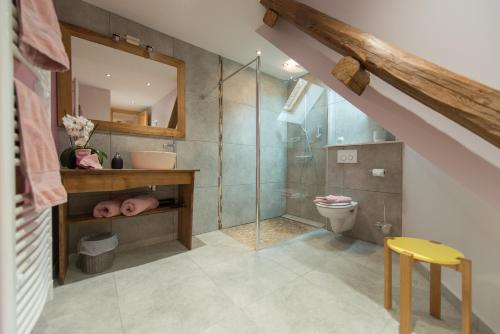 a bathroom with a glass shower and a toilet at La Maison d'Emilie in Pfaffenheim