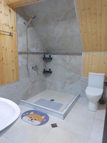 Kinchkha cottage Fshuqebi - კინჩხის კოტეჯი ფშუქები في Kinchkha-Perdi: حمام مع دش ومرحاض
