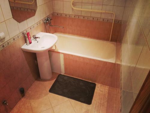 a bathroom with a sink and a bath tub at Green Hall apartment in Ignalina