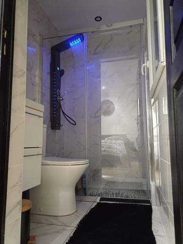 a bathroom with a glass shower with a toilet at Elégance, sobriété, T2 centre-ville in Le Mans