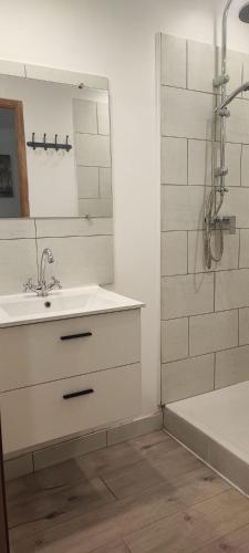ein Badezimmer mit Waschbecken, Spiegel und Dusche in der Unterkunft Cocon confort 
