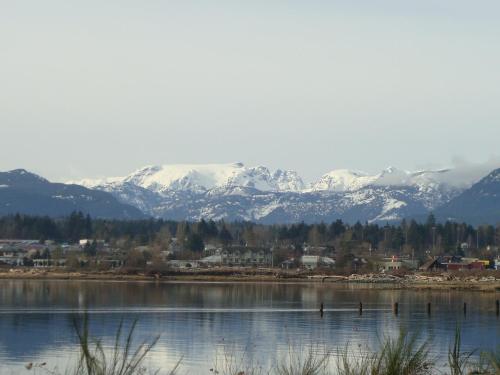 a large body of water with snow covered mountains at Estuary House Reflexology B&B in Courtenay