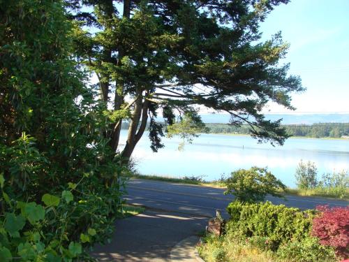 a tree and a road next to a lake at Estuary House Reflexology B&B in Courtenay