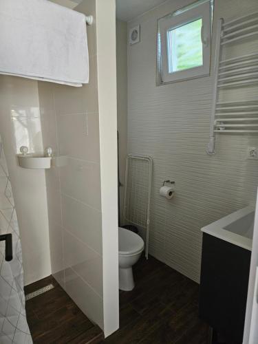 a bathroom with a toilet and a sink and a window at Dolce Vita Apartman Gyula in Gyula