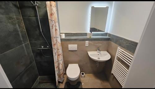 ヘルフォルトにあるHotel Akropolisのトイレと洗面台のある小さなバスルーム