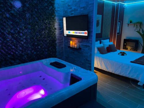 a bathroom with a tub with a bed and a tv at Oasis du plaisir in Fours