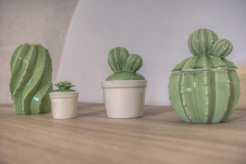 three green cactuses sitting on a wooden shelf at Crosa tra le Nuvole in Borgio Verezzi