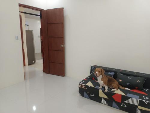 Gallery image of Laika the Beagle's Home away from Home - Clark in Angeles