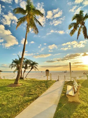 a park with a bench and palm trees on the beach at Jamaica Royale in Sarasota