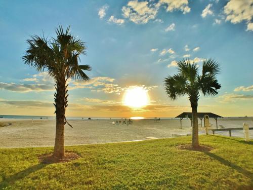 two palm trees on the beach at sunset at Jamaica Royale in Sarasota