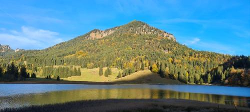 a mountain with a reflection in a body of water at Apartment am Spitzingsee in Schliersee