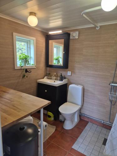 a bathroom with a toilet and a sink at Korsbacken in Tenhult