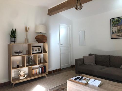 a living room with a couch and a book shelf at Gite 5 pers en Provence avec grand jardin & piscine partagés - 5 people holiday home with shared swimming pool & garden in Provence in Cornillon-Confoux