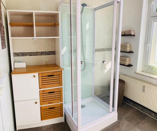 a shower with a glass door in a bathroom at Ferienwohnung 23 Zur alten Ladeneinheit in Krauschwitz