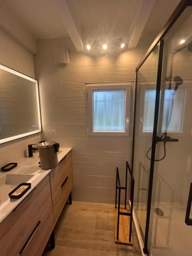 a bathroom with a sink and a shower at Gite 5 pers en Provence avec grand jardin & piscine partagés - 5 people holiday home with shared swimming pool & garden in Provence in Cornillon-Confoux