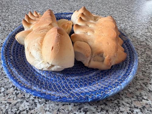 two buns on a blue plate on a counter at Casa Vacanze Janas in Assemini