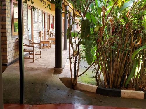 a porch with chairs and plants in a building at Gorilla African Guest House in Entebbe
