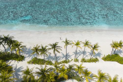 an aerial view of a beach with palm trees at SO/ Maldives in South Male Atoll