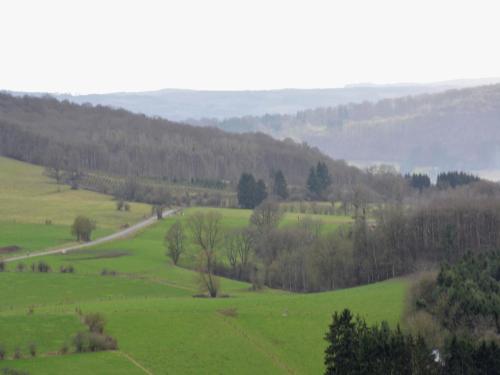 a green field with trees and a road at Spacious Wellness Stay, Soy in Soy