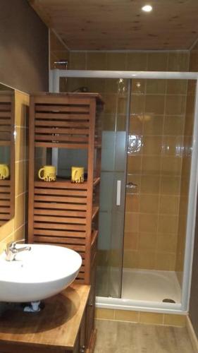 ein Badezimmer mit Glasdusche und Waschbecken in der Unterkunft Chalet L'Eider in Bolquere