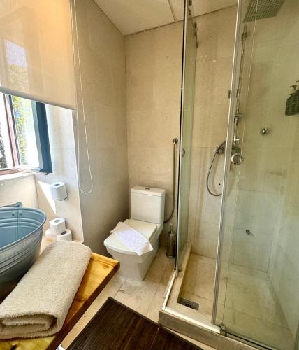 a bathroom with a shower and a toilet and a sink at Waterfront Villa Magnolia in Kotor