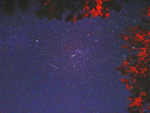 a starry night with a plane in the sky at Napahong Treehouse forest camp in Ban Pa Ha