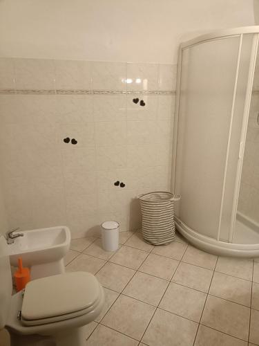 a white bathroom with a shower and a toilet at La petite maison Fleur in Biella