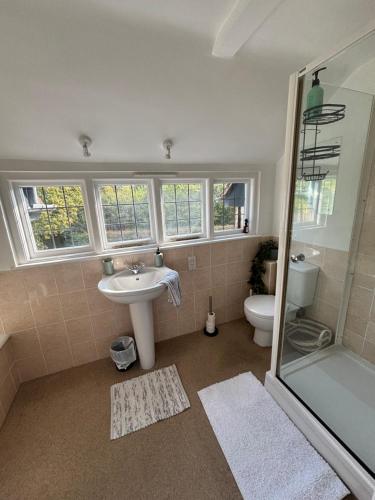 ein Badezimmer mit Waschbecken, Dusche und Toilette in der Unterkunft Cottage Within Country Estate in Fernhurst