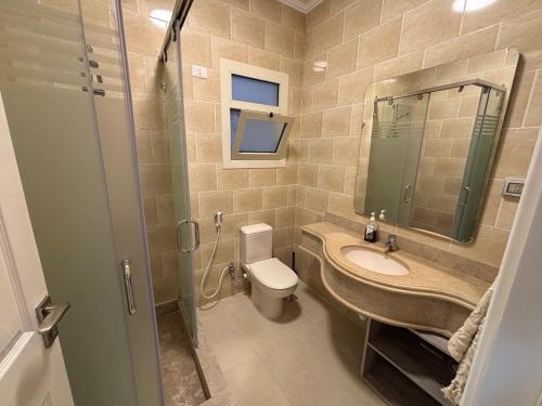 a bathroom with a sink and a toilet and a shower at Apartment with nice garden in Sheikh Zayed