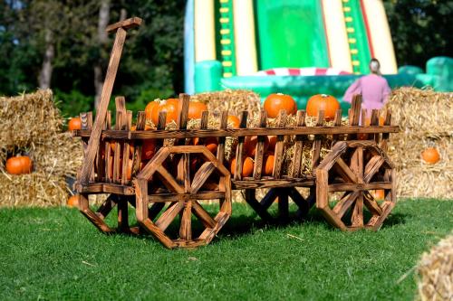 a wooden cart filled with pumpkins sitting in the grass at AQUA HOUSE in Sopot