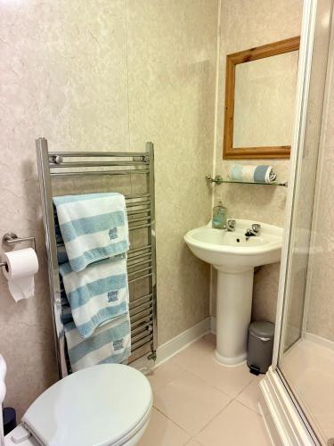 ein Badezimmer mit Toilette und Waschbecken in der Unterkunft Pirans Apartments in Perranporth