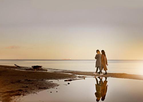 two people walking on the beach with a dog at AQUA HOUSE in Sopot