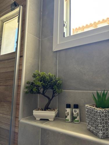 a bathroom shelf with a potted plant on it at Pinelopi family Apartment in Hanioti