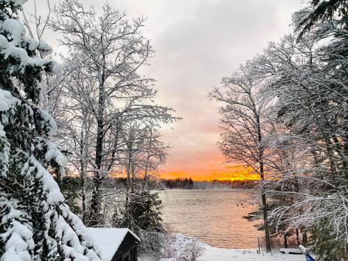 a winter view of a lake with snow covered trees at The Blue Lotus in New Durham