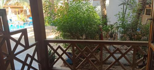 a porch with a fence and plants and a pool at Acacia Dahab Hotel in Dahab