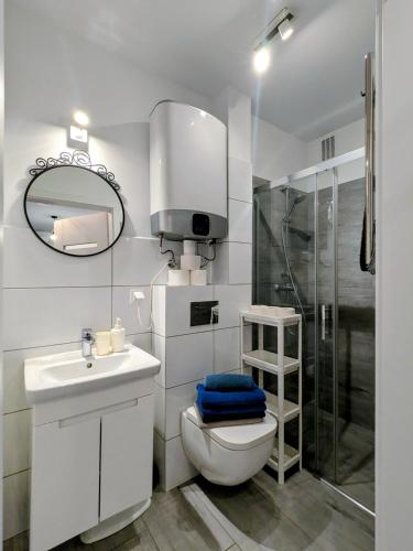 a bathroom with a toilet and a sink and a shower at Słoneczna Sarbinówka in Sarbinowo