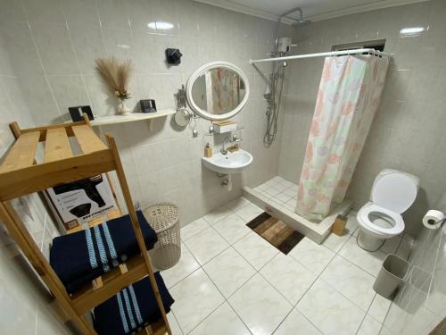 a bathroom with a sink and a toilet and a mirror at 5 Bedroom Villa with Swimming Pool in Grote Berg