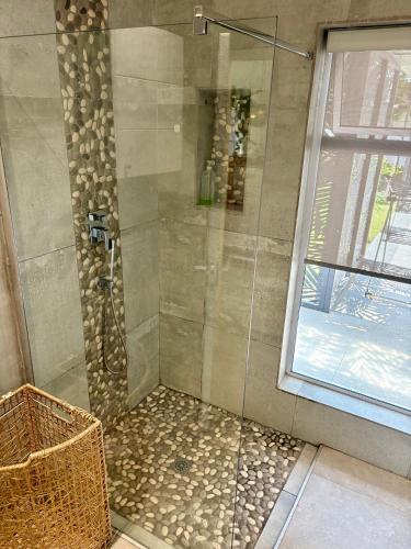 a shower with a glass door next to a window at Bird Song Bedroom in Cape Town