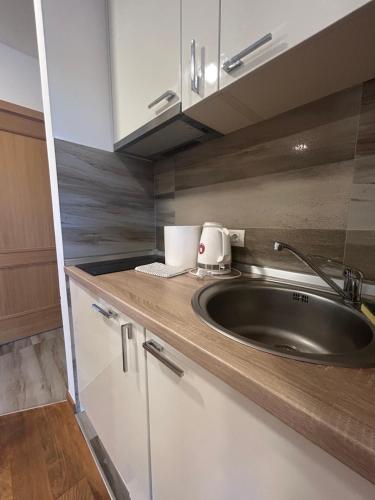 Η κουζίνα ή μικρή κουζίνα στο Vila borova