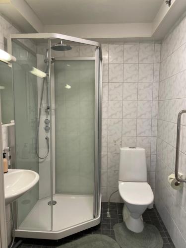 a bathroom with a shower and a toilet and a sink at Pink Nissi in Kuusamo