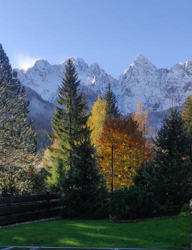 a group of trees with mountains in the background at Hiša Katja-Privat wellness in Kranjska Gora