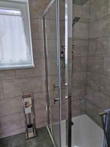 a shower with a glass door in a bathroom at Ferienhaus Schindler in Johanngeorgenstadt