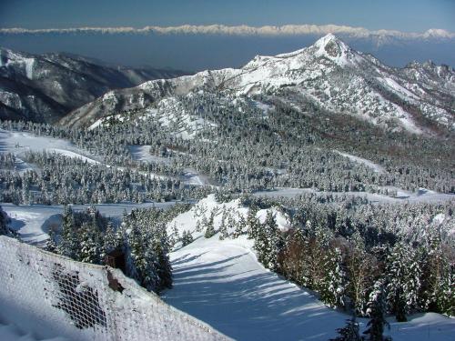 a view of a snow covered mountain with trees at Villa Alpen in Yamanouchi