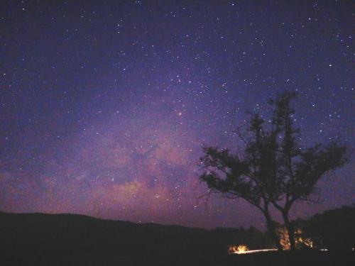a starry night with a tree and the milky way at Napahong Treehouse นาป่าฮง Andromeda & Cassiopeia in Ban Pa Ha